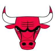 הלוגו של CHICAGO BULLS